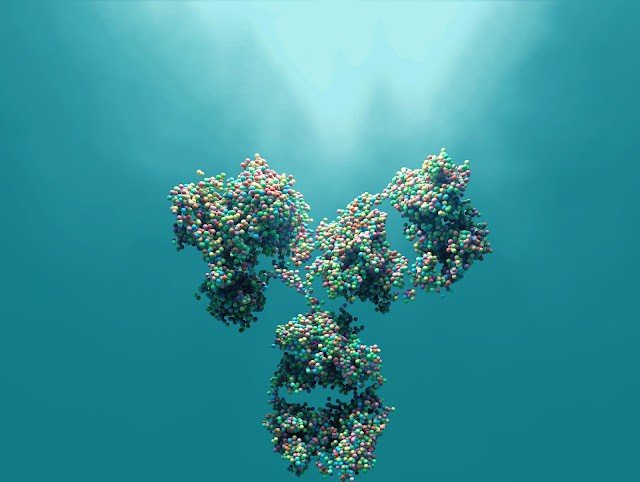 Types of Antibody Engineering Services