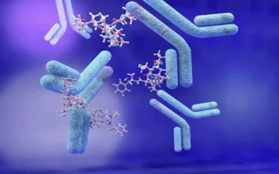 Bispecific antibodies’ evolution