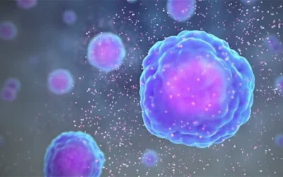 Pro-Inflammatory Cytokines