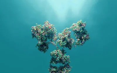 Types of Antibody Engineering Services