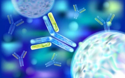 Primary And Secondary Antibodies: How They Differ?