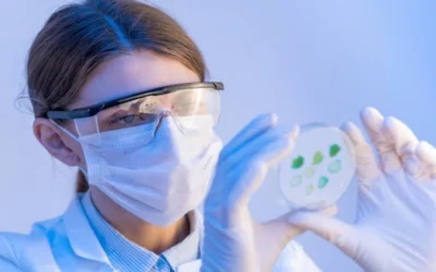 How are recombinant proteins expressed using bacterial vectors?
