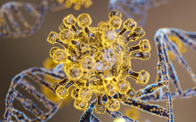 What Are Chimeric Antibodies? Structure, Function, and Applications