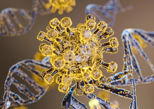 Chimeric Antibodies Functions