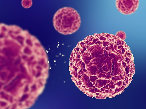 Types of TNF-Alpha Antibodies