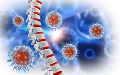 What Are Chimeric Antibodies? A Deep Dive into Hybrid Immunotherapy Solutions