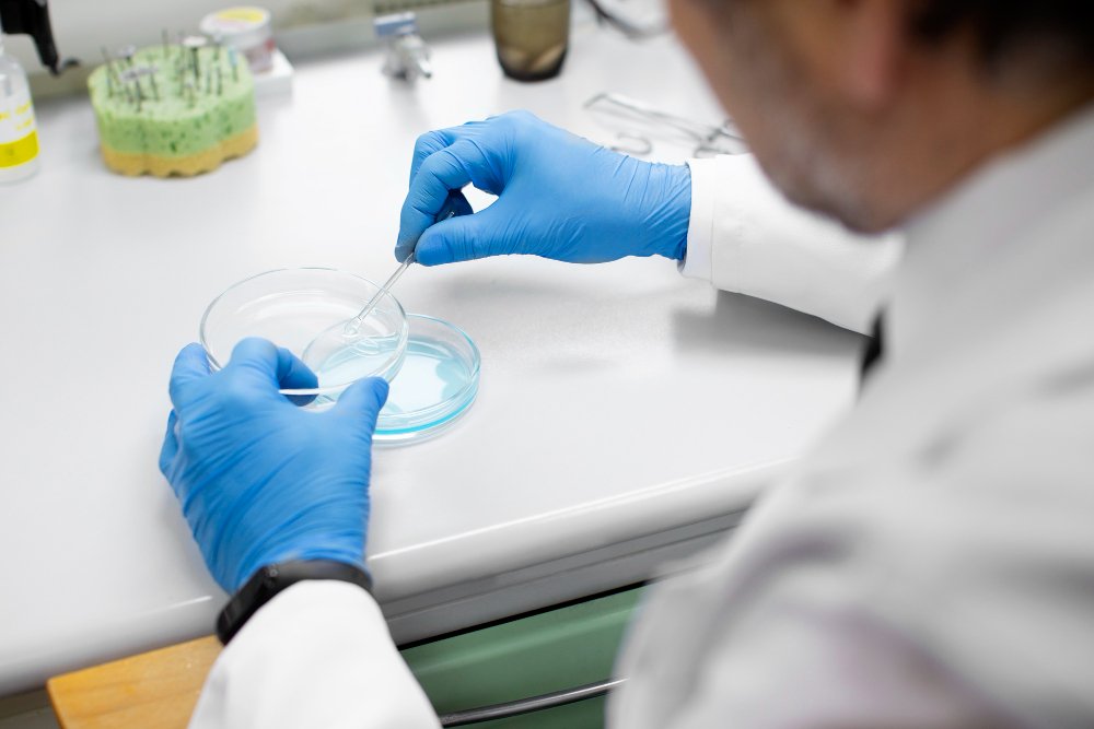 Polyclonal Antibody Purification Protocol