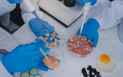 Key stages in CHO stable cell line development for therapeutic protein production