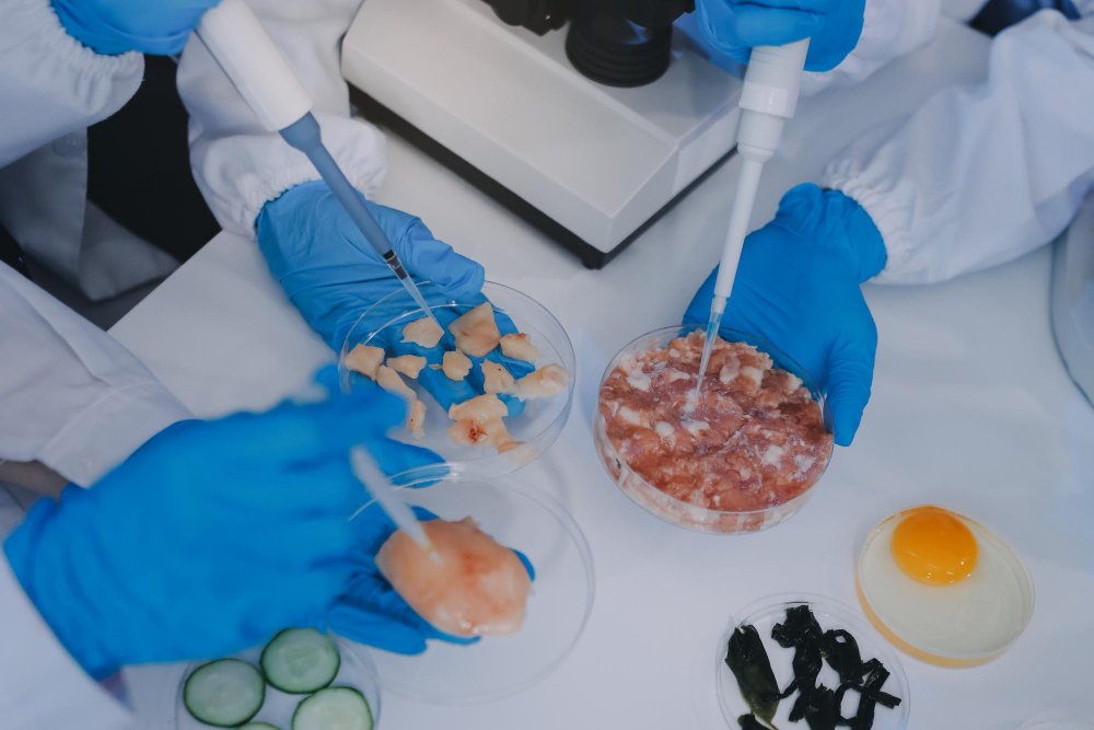 CHO stable cell line development for therapeutic protein production CHO stable cell line development for therapeutic protein production