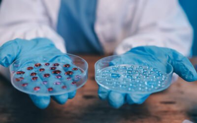 What types of antibodies can be discovered using phage display?