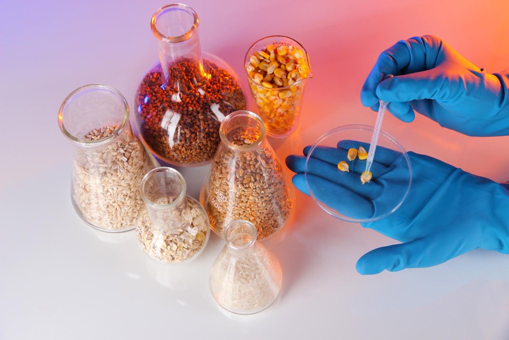 protein expression and purification services